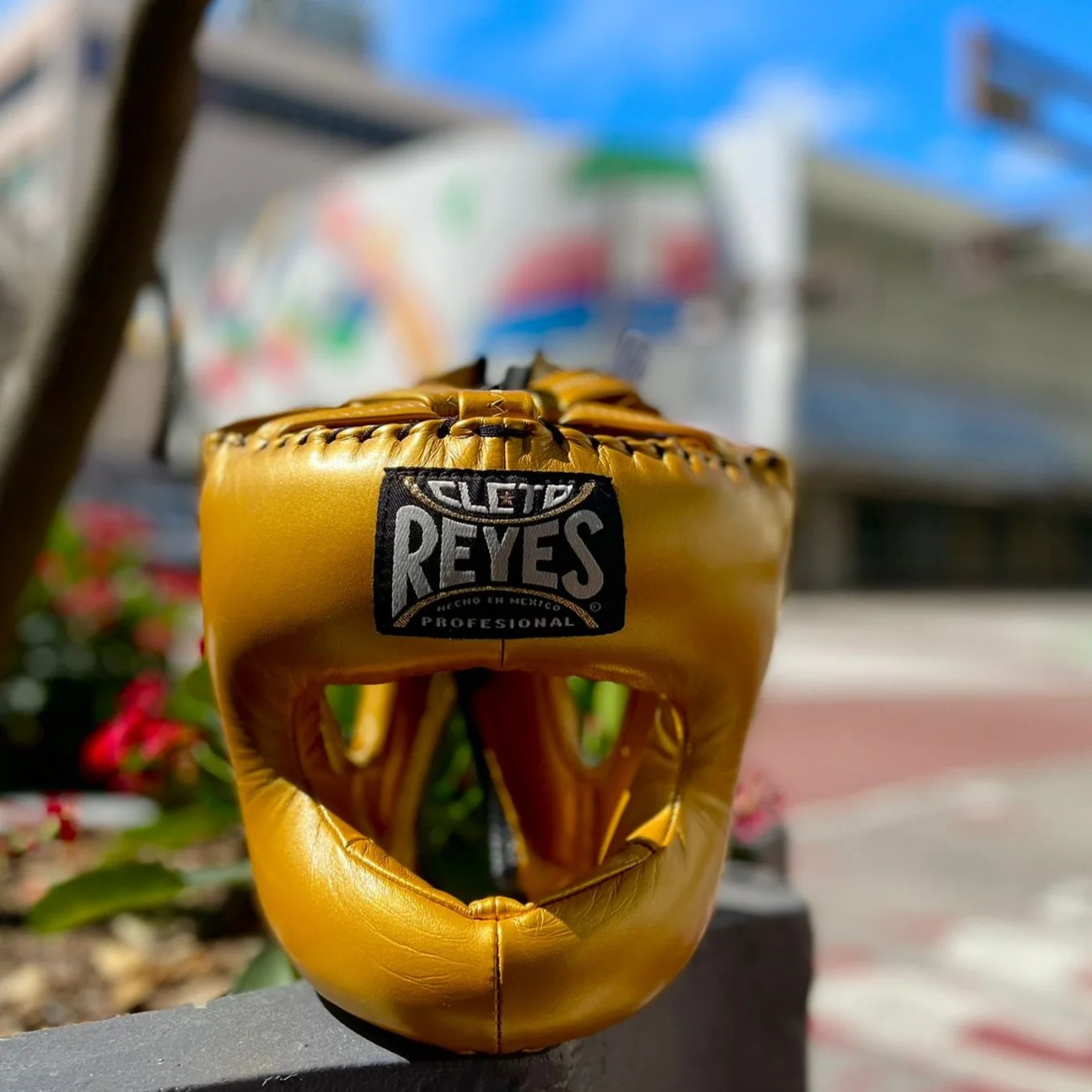 CLETO REYES HEADGEAR TRADITIONAL NYLON BAR GOLD - Image 2