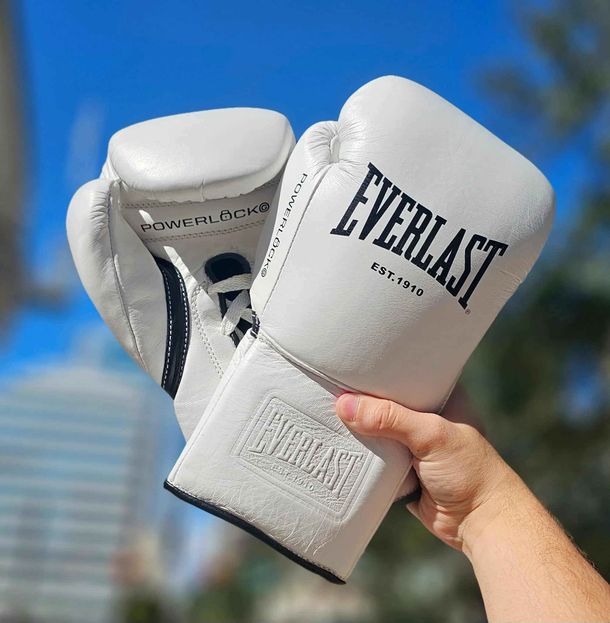 EVERLAST GLOVES LACE POWERLOCK OG PRO FIGHT LEATHER WHITE - Image 2